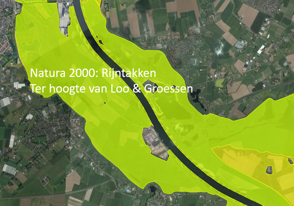 Rijntakken
